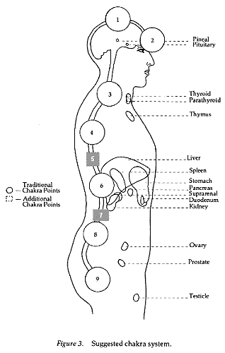 The Chakras